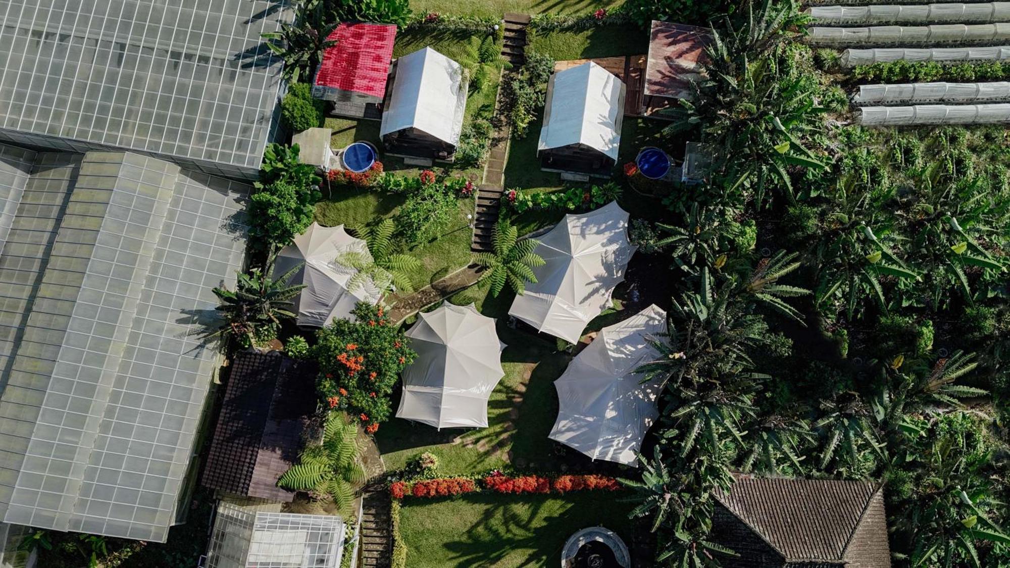 Alamu Eco Lodge Bedugul  Zewnętrze zdjęcie