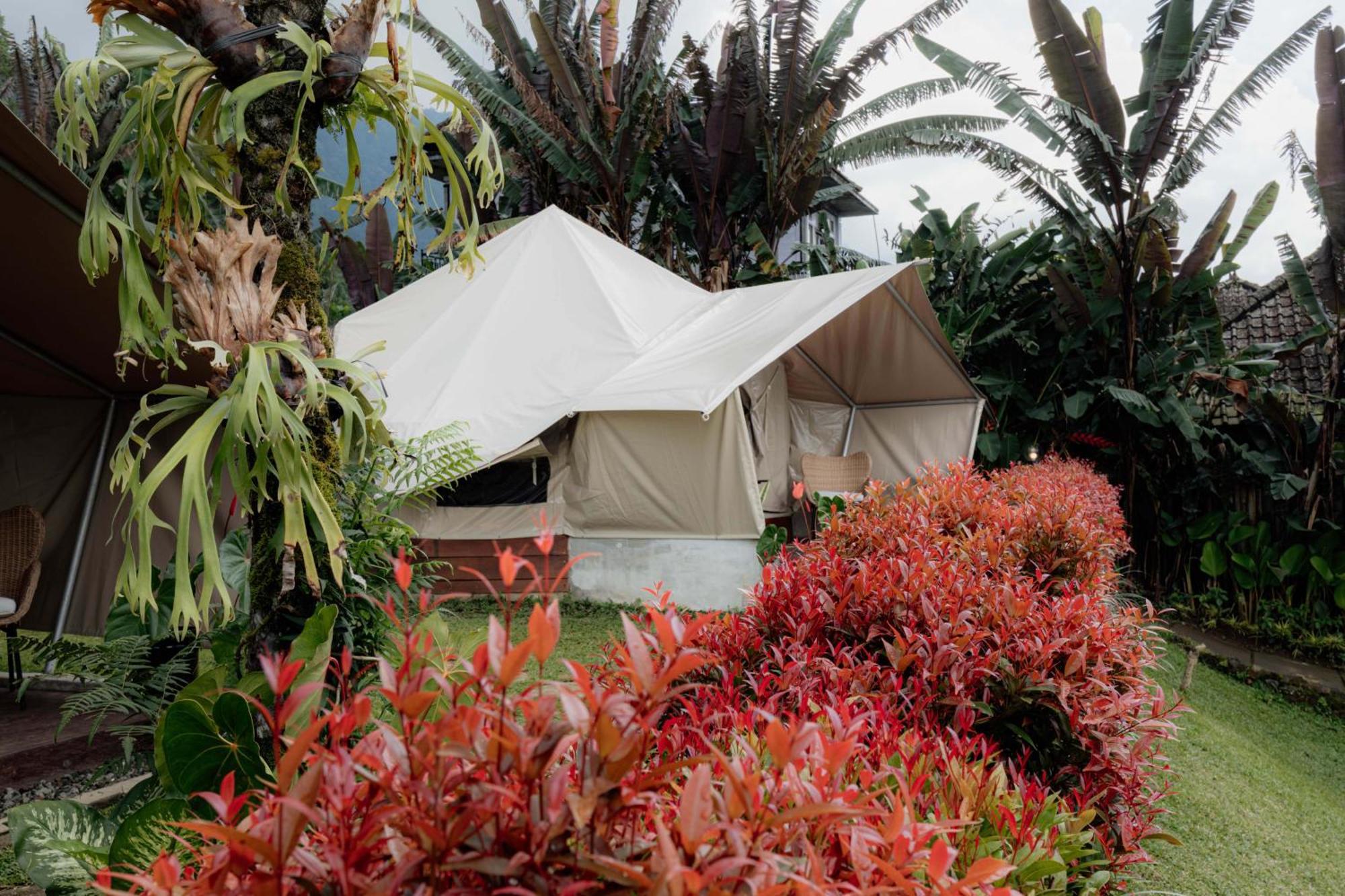 Alamu Eco Lodge Bedugul  Zewnętrze zdjęcie