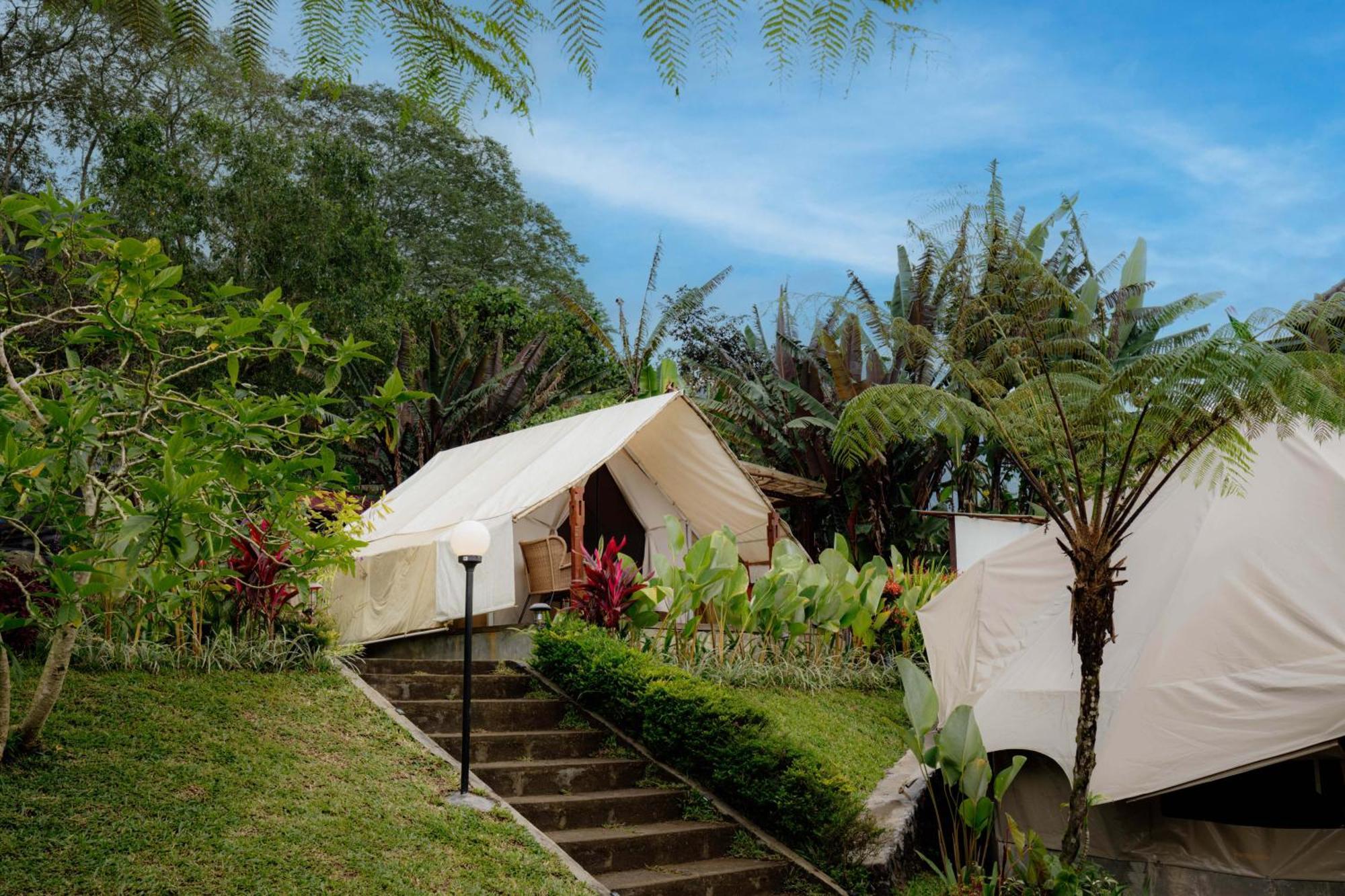 Alamu Eco Lodge Bedugul  Zewnętrze zdjęcie